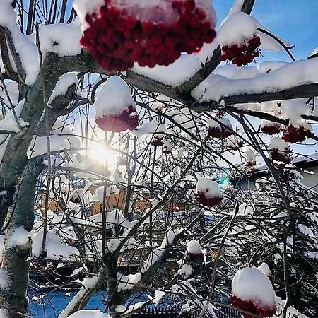 Septimer * ビビオ