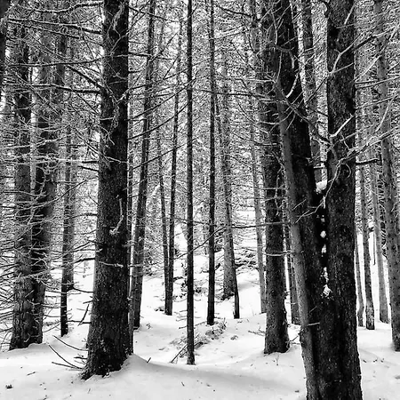 Septimer * ビビオ