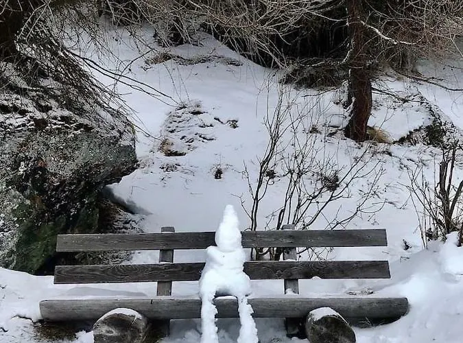 Tatil Evi Septimer Bivio