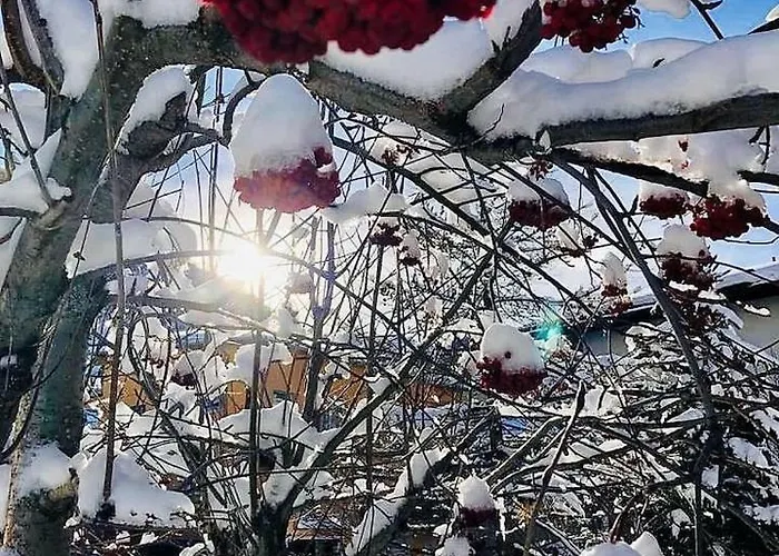 Septimer * Бивио